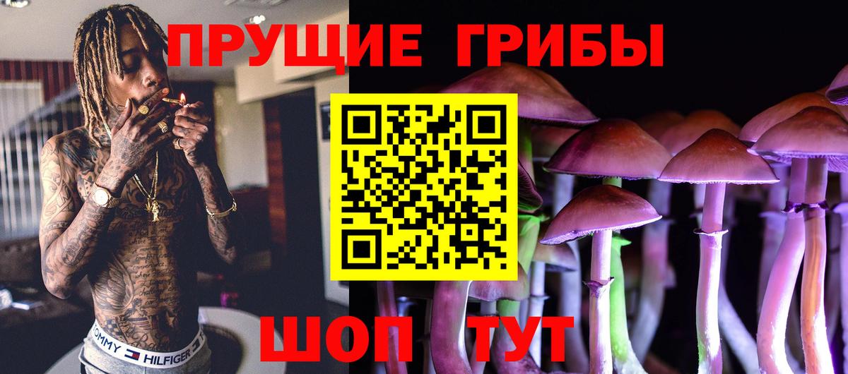 Краснознаменск  где купить наркоту  Вход с VPN  Галлюциногенные грибы мухоморы 